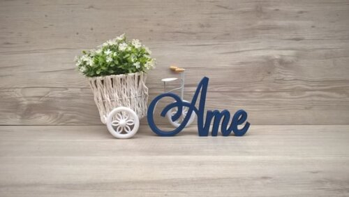 Palavra Decorativa Ame Mod LS