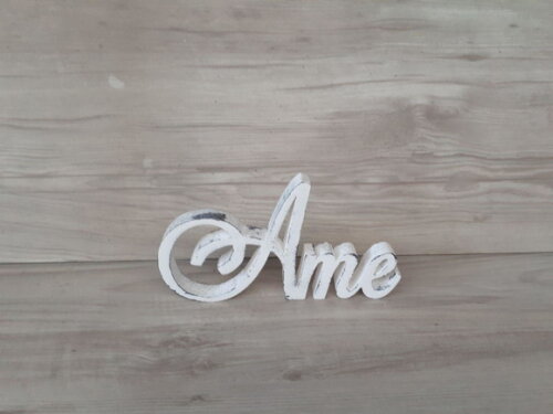 Palavra Decorativa Ame Mod Ls