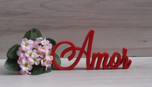 Palavra Decorativa Amor Mod. LS
