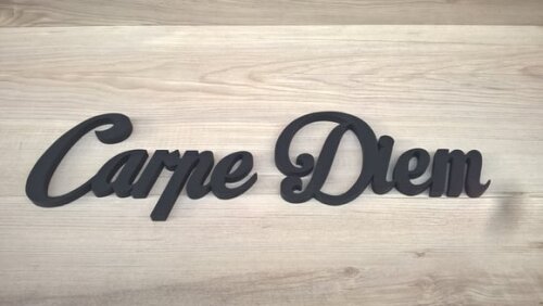 Palavra Decorativa de Parede Carpe Diem