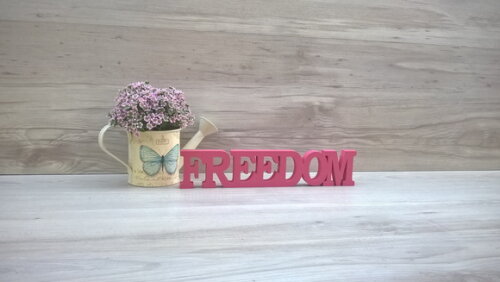 Palavra decorativa FREEDOM - linha BK