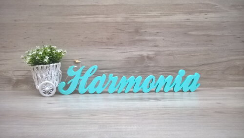 Palavra Decorativa Harmonia Linha Cl
