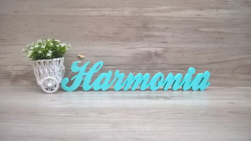 Palavra Decorativa Harmonia Linha Cl