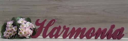 Palavra Decorativa Harmonia Linha Cl