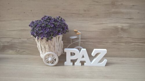 Palavra decorativa PAZ - linha BK