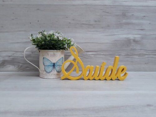 Palavra Decorativa Saúde Mod LS
