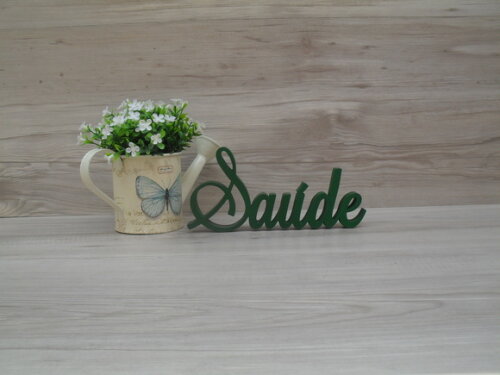 Palavra Decorativa Saúde Mod LS