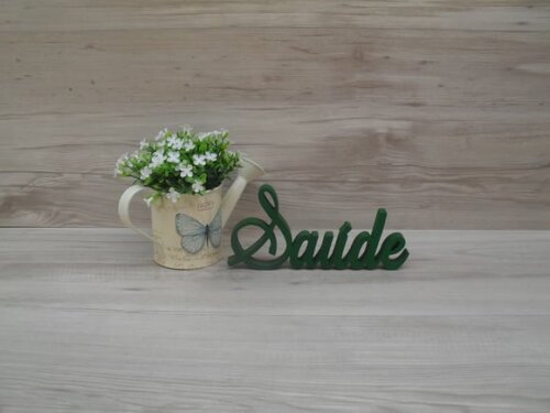 Palavra Decorativa Saúde Mod LS