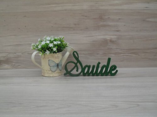 Palavra Decorativa Saúde Mod LS