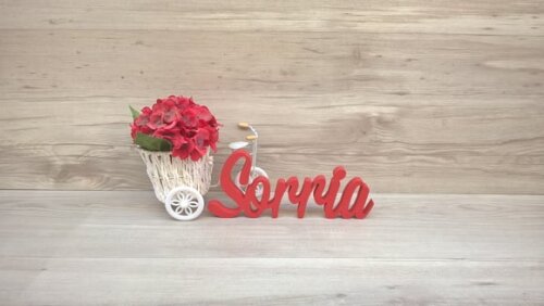 Palavra decorativa Sorria Mod MS