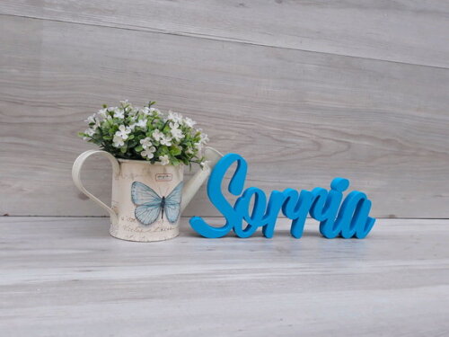 Palavra decorativa Sorria Mod MS