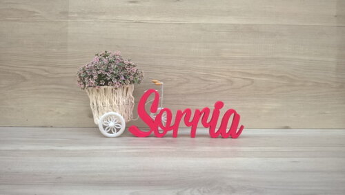 Palavra decorativa Sorria Mod MS