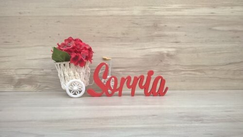 Palavra decorativa Sorria Mod MS
