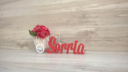 Palavra decorativa Sorria Mod MS