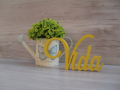 Palavra decorativa Vida Mod LS