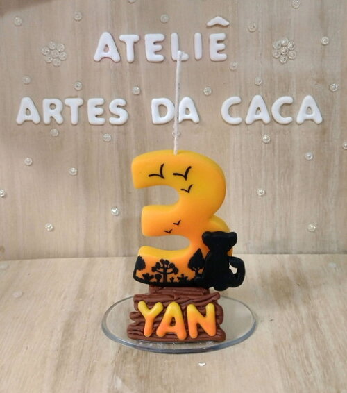 Vela Leão