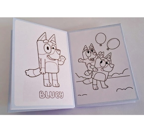 20 Lembrancinhas Bluey Aniversário Mini Livrinho de Colorir