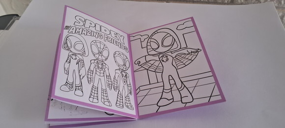 30 Lembrancinhas Spidey e Seus Amigos Livrinho Colorir Rosa