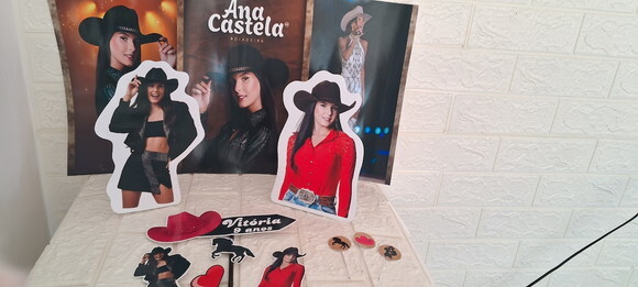 Kit Festa Personalizada Boiadeira Ana Castela Aniversario
