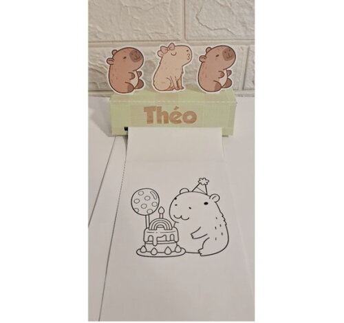 10 Lembrancinhas Revista Colorir Livrinho Capivara Kit Festa