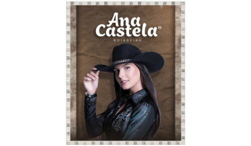 2 Adesivos para Caderno da Ana Castela Personalizado