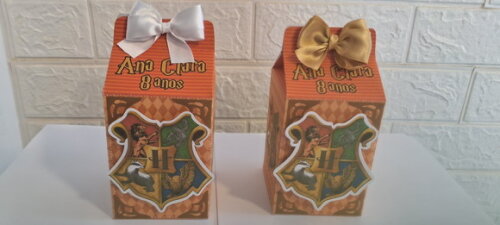 Kit 40 Lembrancinhas Aniversário Festa Harry Potter Caixas