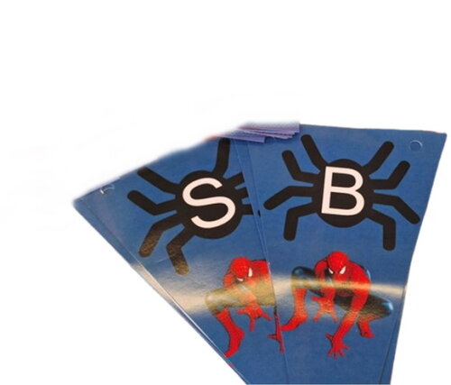 Kit Festa Homem Aranha Decoração de Aniversário