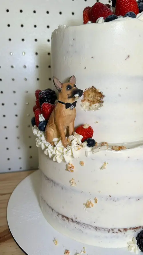 Pets personalizado