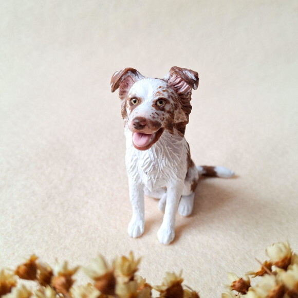 Border Collie Miniatura para Casamento