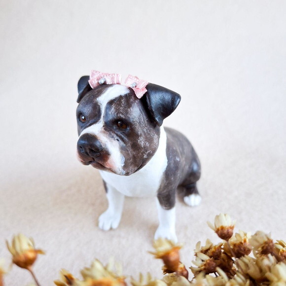 Cachorro em Miniatura para Casamento