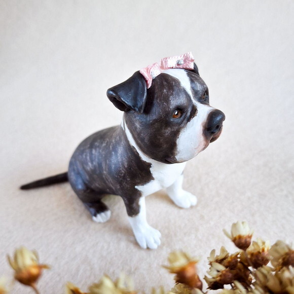 Cachorro em Miniatura para Casamento