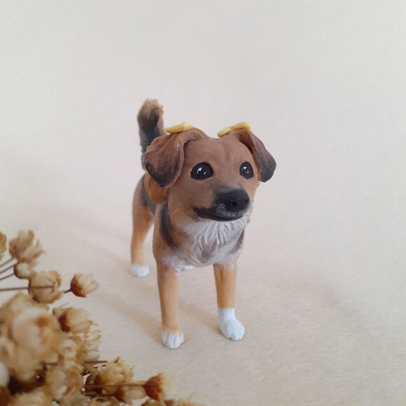 Cachorro em Miniatura para Casamento
