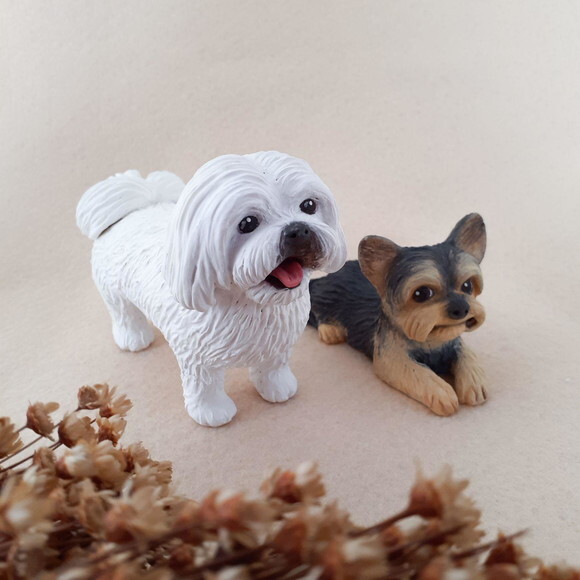 Cachorro em Miniatura para Casamento