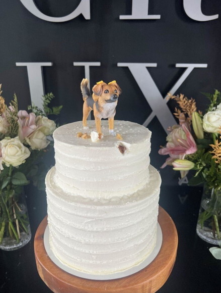 Cachorro em Miniatura para Casamento