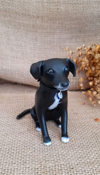 Miniatura de Cachorro Personalizada