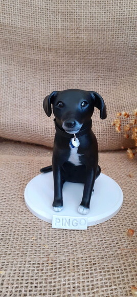 Miniatura de Cachorro Personalizada