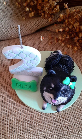 Miniatura de Cachorro Spitz Alemão