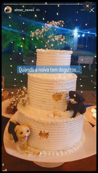 Miniatura Pet para Bolo de Casamento
