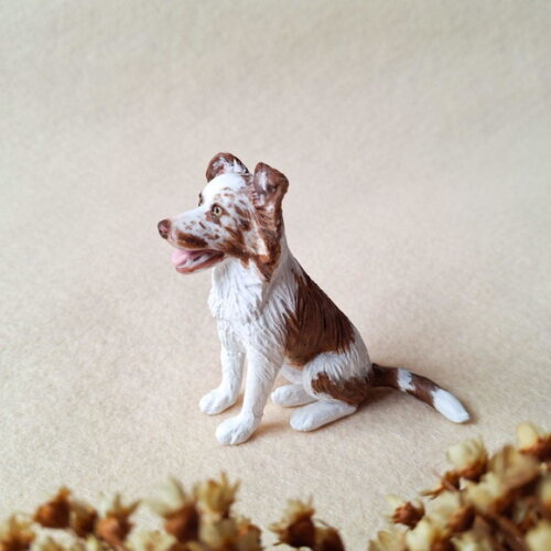 Border Collie Miniatura para Casamento