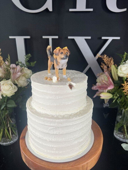 Cachorro em Miniatura para Casamento