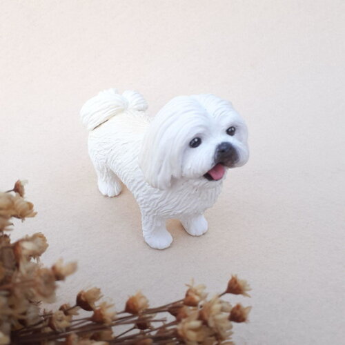 Cachorro em Miniatura para Casamento