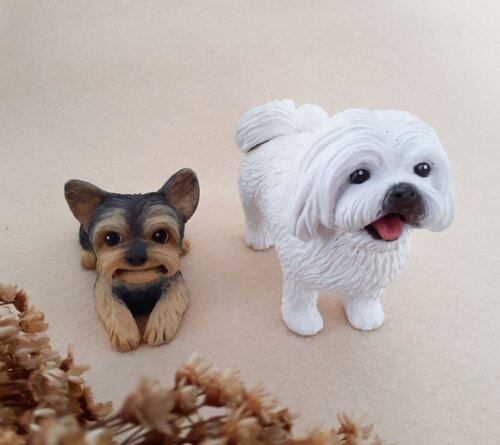 Cachorro em Miniatura para Casamento