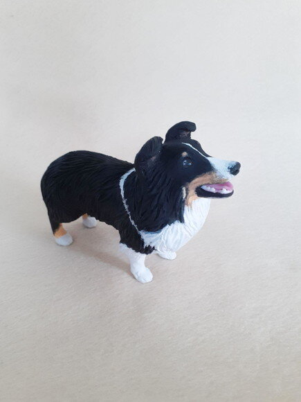 Cachorro em Miniatura para Casamento