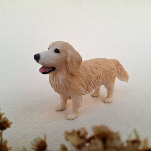 Cachorro em Miniatura para Casamento Golden Retriever