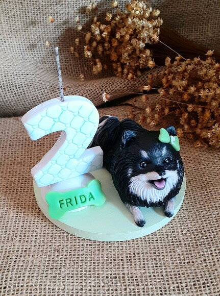 Miniatura de Cachorro Spitz Alemão