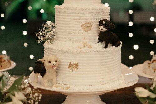 Miniatura Pet para Bolo de Casamento