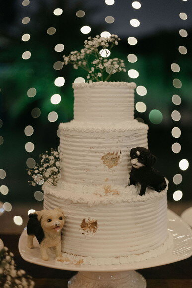Miniatura Pet para Bolo de Casamento