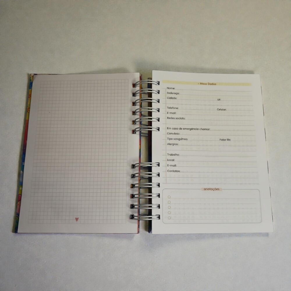 Agenda Permanente Personalizada para Professora | Capa Dura com N
