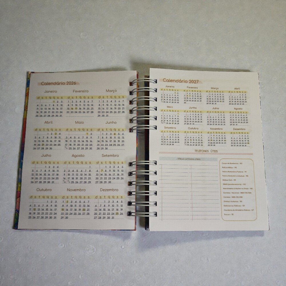 Agenda Permanente Personalizada para Professora | Capa Dura com N