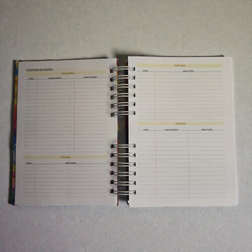 Agenda Permanente Personalizada para Professora | Capa Dura com N